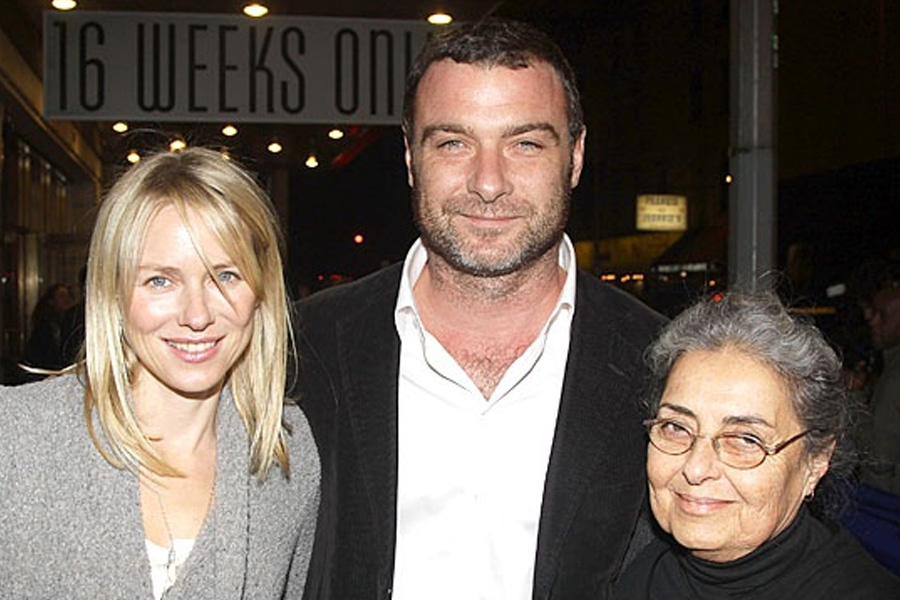 Heather Milgram A Comprehensive Guide to the Artist and Mother Behind Liev Schreiber Heather Milgram as a Painter and Artist