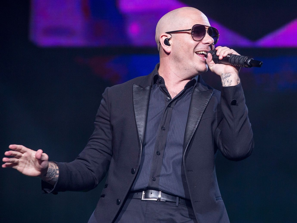 Who Is Pitbull?